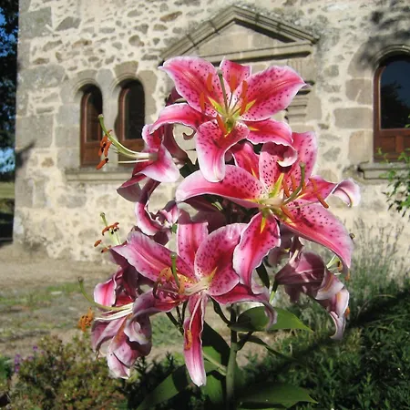 Logis De La Rouliere 住宿加早餐酒店 La Chapelle-Bertrand