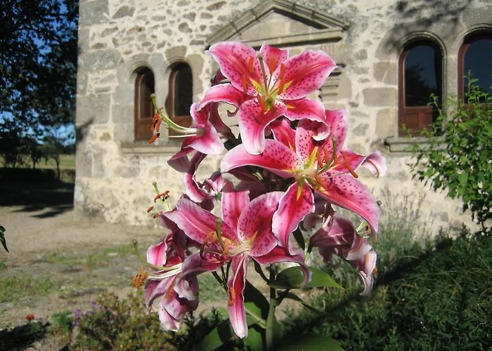Logis De La Rouliere Bed and breakfast La Chapelle-Bertrand